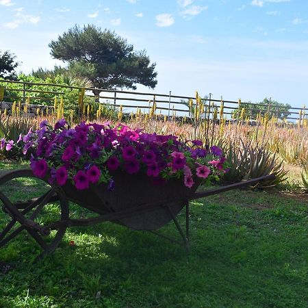 Il Giardino Delle Aloe Konuk evi Favignana Dış mekan fotoğraf