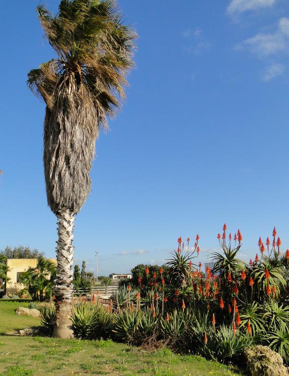 Il Giardino Delle Aloe Konuk evi Favignana Dış mekan fotoğraf