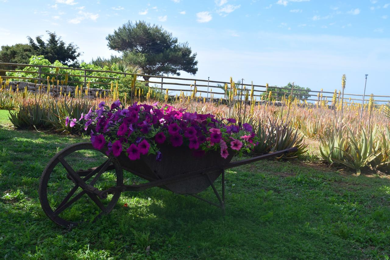 Il Giardino Delle Aloe Konuk evi Favignana Dış mekan fotoğraf
