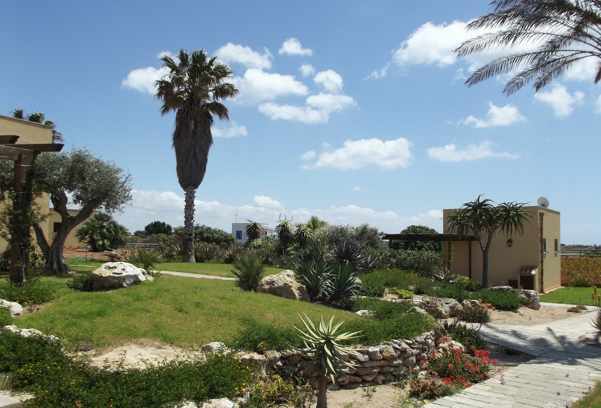 Il Giardino Delle Aloe Konuk evi Favignana Dış mekan fotoğraf