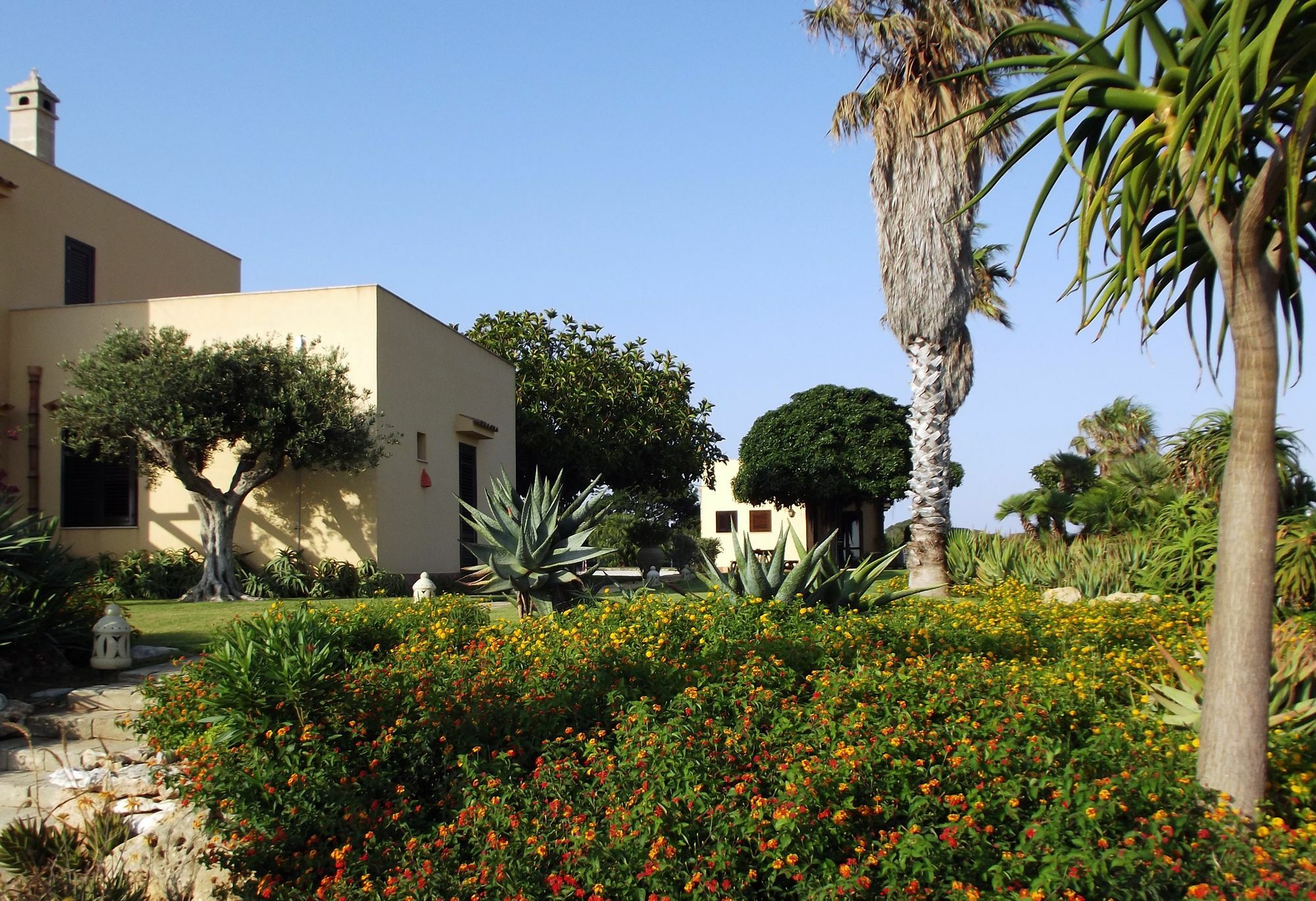 Il Giardino Delle Aloe Konuk evi Favignana Dış mekan fotoğraf