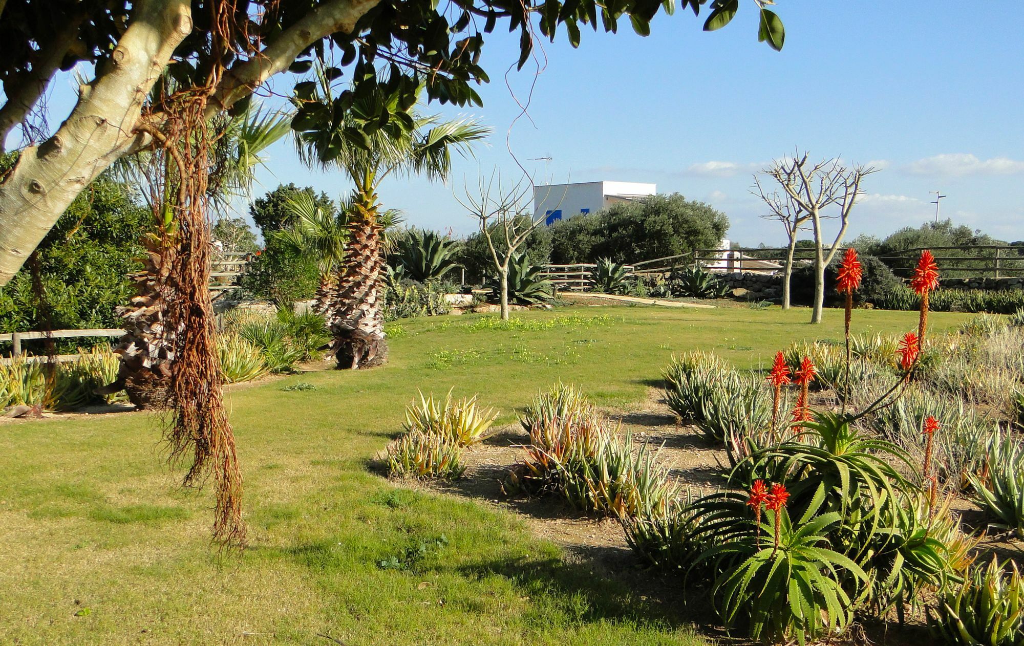 Il Giardino Delle Aloe Konuk evi Favignana Dış mekan fotoğraf