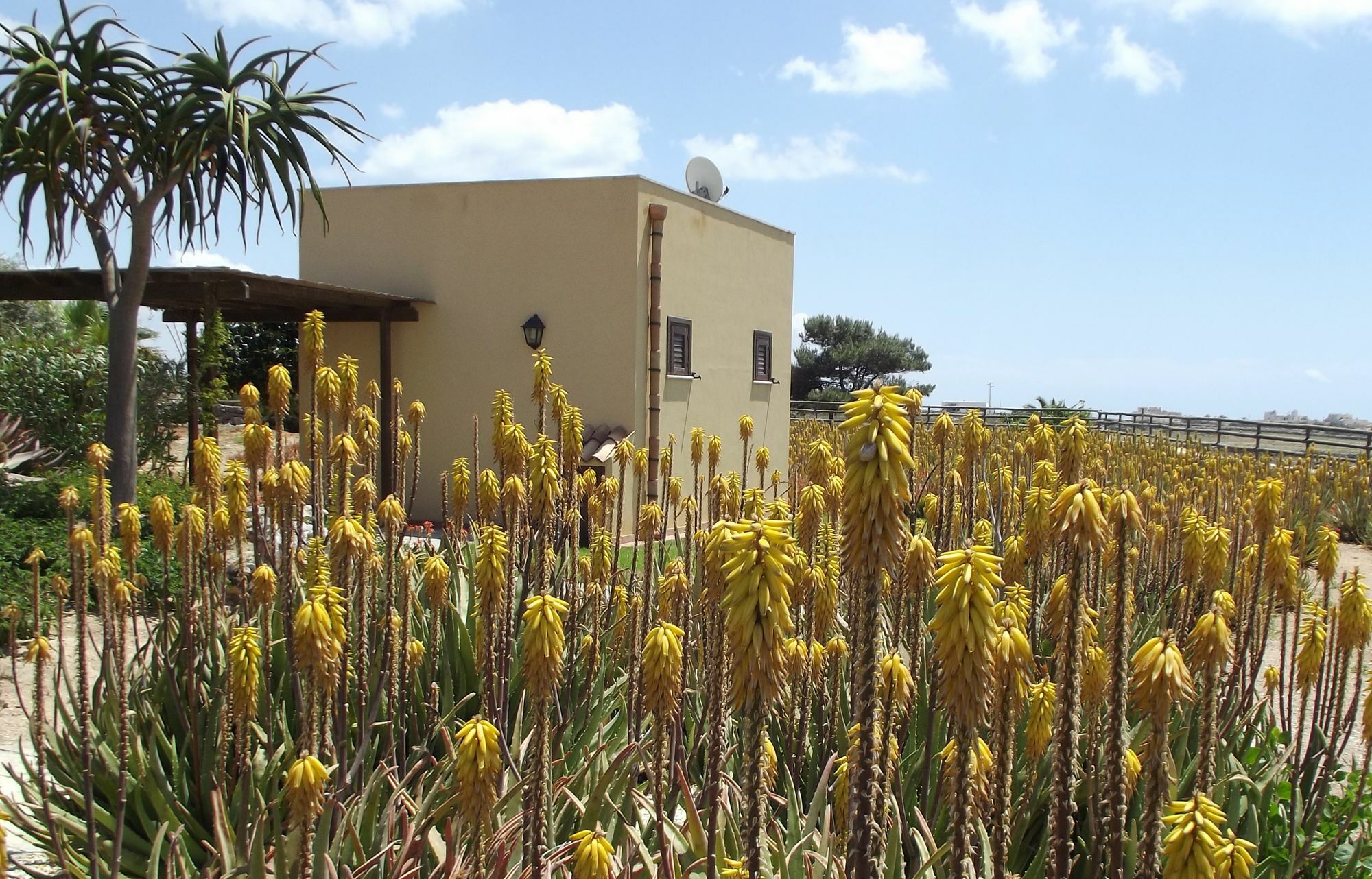 Il Giardino Delle Aloe Konuk evi Favignana Dış mekan fotoğraf