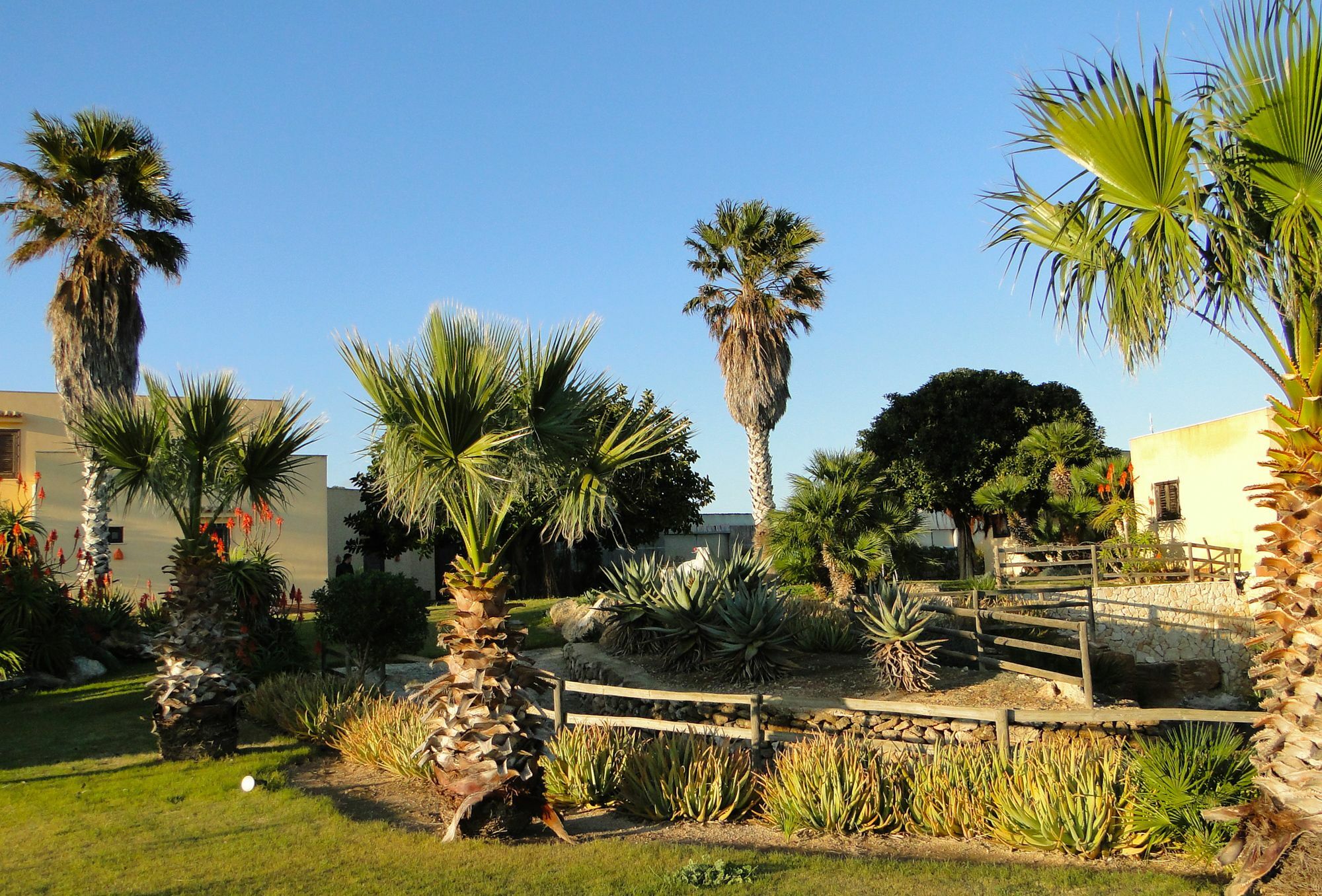 Il Giardino Delle Aloe Konuk evi Favignana Dış mekan fotoğraf